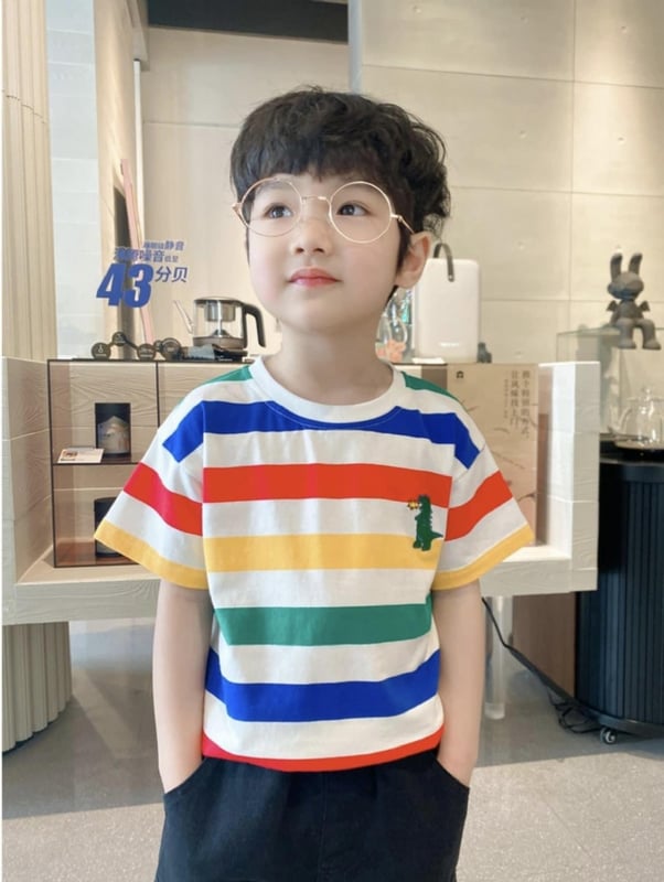 彩虹线条恐龙上衣